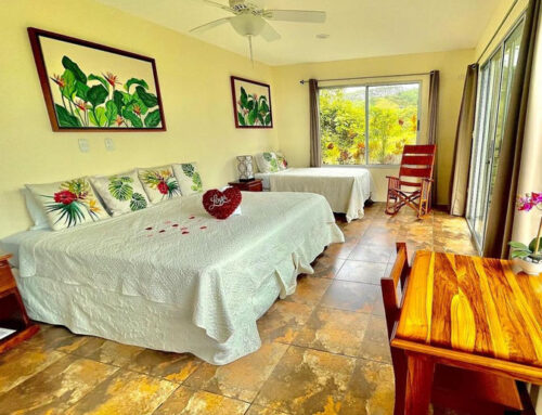 3 Nights Surrounded by Rainforest, Waterfalls and Thermal Waters